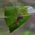 Michele Smith Palmer's profile image