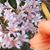Kathy Finholt's profile image