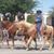 Mendoza Ranch's profile image