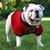 Darrell Edmonds's profile image