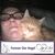 Cassie Abbott's profile image