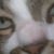 Linda Bruno's profile image