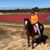 Patti McAuley Berman's profile image
