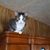 Samantha Ritts's profile image