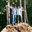 Aniket Dharap's profile image