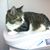 Kathy Brown Grosso's profile image