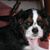 Donna Miller Dacy's profile image