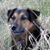 Laura Larsen's profile image
