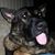 Kristine Busch Griner's profile image