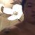 Geckokazi Manzo's profile image