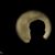 Hrushi Rishi's profile image