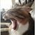 Julie Seehusen's profile image