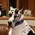 Brad Thompson's profile image