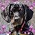 Rosa De Groff Tyser's profile image
