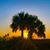 Regina Didato-Link's profile image