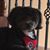 Michelle Miller's profile image