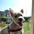 Linda DeBiasio's profile image