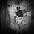 Tabetha G Foglio's profile image