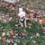 Christine Csepke Ossmann's profile image