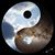 Trinidad Abundis's profile image