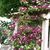 Harriett Glazer's profile image