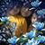 Maria Alfonso's profile image