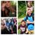 Trudy Triplett's profile image