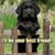 Peggy Clark's profile image