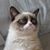 Carl Womack's profile image