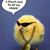 Suzanne Proulx Sargent's profile image