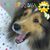 Tanya Talley-Chorba's profile image