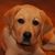 Charles Chen He's profile image