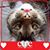 Sheree Reiners's profile image