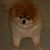 Anita Shaw's profile image