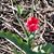 Connie Serl's profile image