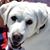 Morris Eisen's profile image
