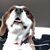 Amber Boehlen's profile image