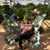 Jackie Ball's profile image