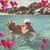 Vournee Wohlers's profile image