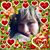 Heidi Langeland's profile image