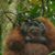 Gene Michael Goddard's profile image