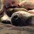 Cari Shine's profile image