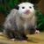 Tammy Whitehurst's profile image
