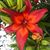 Vanessa Simones's profile image