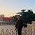 Hanqing Zhang's profile image