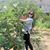 杨雅娟's profile image