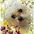 Michelle M Parker's profile image