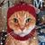 Karen Mossbarger's profile image