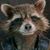 Ed Pruitt's profile image