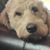 Scott Geldmacher's profile image